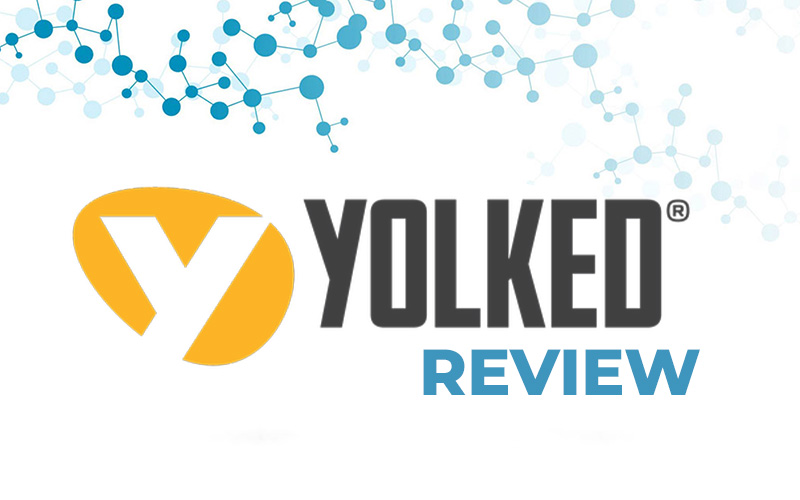 Yolked Fortetropin Review – Muscle Recovery &