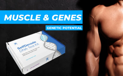 How To Maximize Muscle Building Genetic Potential with SelfDecode